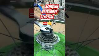 Shimano Freewheel removal👍🧰🛠️ [upl. by Doreg]