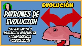 Patrones de evolución  Coevolución divergente y convergente  Evolución [upl. by Yrot]