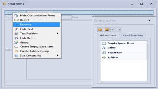 DevExpress Tutorial  Layout Control  FoxLearn [upl. by Aliekat]