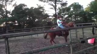 Kalie breakin a horse [upl. by Nomi]