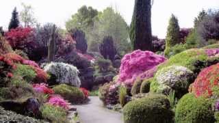 Leonardslee Gardens [upl. by Nnyleak]