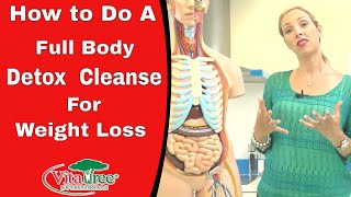 How to Reset the Gut Detox Your Intestines [upl. by Hepsibah692]