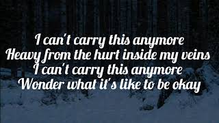 I Cant Carry This Anymore  Anson Seabra  Lyrics [upl. by Day]