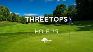 Treetops Resort Threetops 5 [upl. by Lasley]