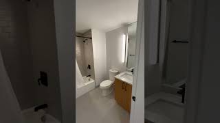 Boston Apartments  2 Beds 2 Baths  Boston  Allston [upl. by Adyam]