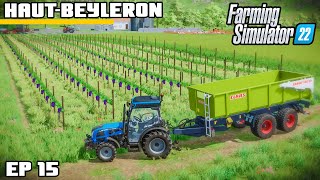 FINALLY BUILDING A LARGE VINEYARD  Farming Simulator 22  HautBeyleron  Episode 15 [upl. by Hgielrac521]