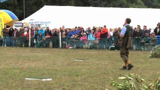 Misselchalke Gundog Display [upl. by Annoynek320]