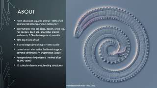 Lesson 71  Introduction to nematodes [upl. by Ellett]