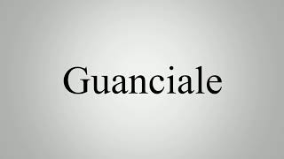 Learn How To Pronounce Guanciale [upl. by Biddy23]