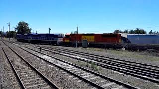 Man 001 002 Manildra Group locos leave Bomaderry [upl. by Marjorie]