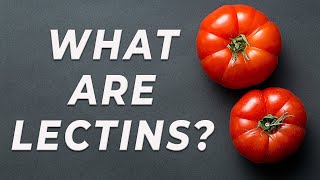 Lectins  What are they [upl. by Ringo]