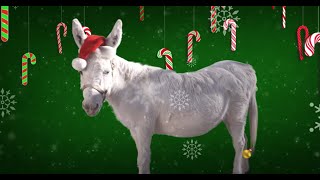 Lou Monte  Dominick The Donkey Official Lyric Video [upl. by Alemap]