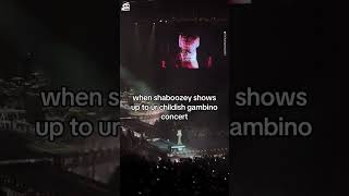 Shaboozey Surprises Crowd at Childish Gambino Show in NYC [upl. by Nnylamme]