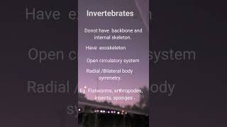 invertebrates  difference between vertebrates and invertebrates [upl. by Celisse250]