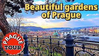 Unveiling Letensky Gardens Stunning Views of Prague asmr [upl. by Philine]