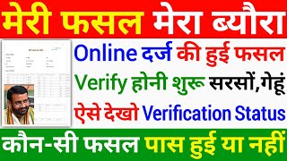 Meri Fasal Mera Byora Portal पर कौनसी Fasal Verify हुई Kaise Dekhen  सरसों गेहूं Fasal Status [upl. by Kessia408]