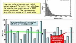 The Properties of Amino Acids [upl. by Rettuc]