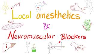 Local Anesthetics and Neuromuscular Blockers  Anesthesiology [upl. by Elgna]