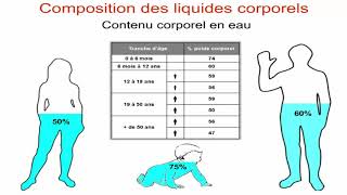 Les compartiments liquidiens de lorganisme [upl. by Seel64]