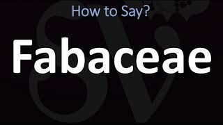 How to Pronounce Fabaceae CORRECTLY [upl. by Ahtanamas]