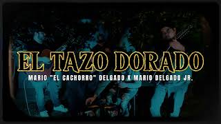 EL TAZO DORADO  Visualizer  Mario quotEl Cachorroquot Delgado x Mario Delgado Jr [upl. by Brendan334]