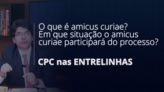 O que é Amicus Curiae [upl. by Robb]