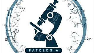 Generalidades de Patología General219968 [upl. by Grunenwald213]