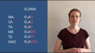 Learn Estonian Language Present Tense Part I [upl. by Natsirt]