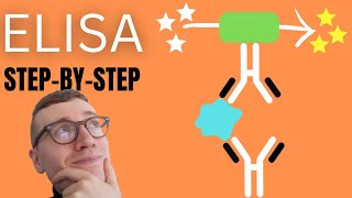 4 Steps of ELISA EnzymeLinked Immunosorbent Assay Simply Explained [upl. by Charyl]