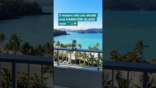 5 reasons why you should visit Hamilton Island ✈️🪸 travel hamilton explore holiday [upl. by Ruthe329]