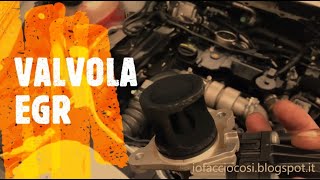 Pulizia Valvola EGR Ford FocusKuga 15 TDCi euro 6b [upl. by Aisyle]