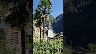 TICINO SWITZERLAND TRAVEL SHORTS YTSHORTS [upl. by Anicnarf]