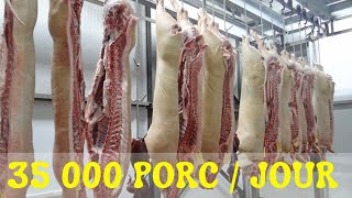 Découvrons ensemble une USINE DE TRANSFORMATION DE 35000 porc  Jour investir au pays en agro [upl. by Dodge]