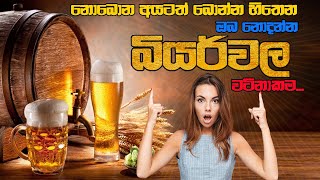 බියර් ගැන දැනගමු  Beer Reviews in Sinhala  beer benefits  beer sri lanka  The good side of beer [upl. by Islek]