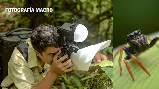 FOTOGRAFÍA MACRO 🍄 🐞 Como hice mi difusor macro ▶️ [upl. by Philis]