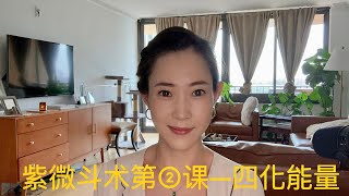 紫微斗术四化能量概括—禄 权 科 忌 [upl. by Joyan]