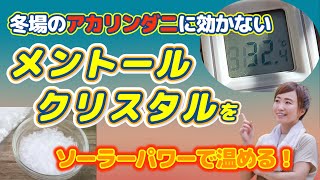 趣味のニホンミツバチ養蜂－冬場のアカリンダニ対策には、メントールクリスタルが効かないっ！その理由とソーラーシステムを使った対策！ [upl. by Nancee925]