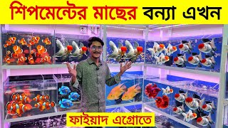 Aquarium Price In Bangladesh 🐠Aquarium Fish Price In Katabon 😱 Only One Brand Shop In Katabon [upl. by Alba968]