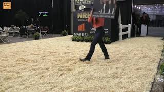 NRHA Markel Futurity Sales OKC OK 2024 [upl. by Phillada]