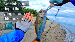 Mancing pinggiran jarang terjadi dapat ikan ini [upl. by Ruamaj]