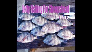 Spring Break 2022 Fishing for Sheepsheads at Packery Channel Jetties in Port Aransas part 2 [upl. by Neural727]