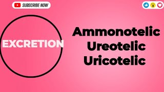 Excretion Ammonotelic Ureotelic and Uricotelic Excretion Ammonotelic urea uricacid biology [upl. by Ahsataj]