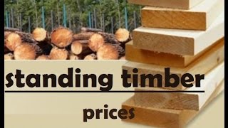 rough cut pine lumber prices menards lumber prices [upl. by Gall]