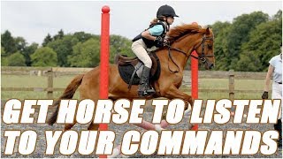 How To Get A Horse To Listen To Your Commands [upl. by Giguere]