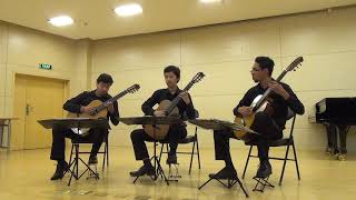 Spanish Dance No 5  Enrique Granados played by Trio Resonance [upl. by Iadrahs]