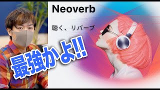 【最強のリバーブ】iZotope Neoverb 抜群の音作りのしやすさ！徹底解説！【DAW DTM プラグイン】 [upl. by Nuriel181]