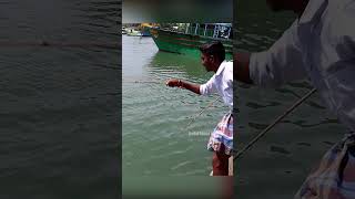 Rabbit fish fishing in unique way fishingislife fishingtechniques fish [upl. by Onitram]