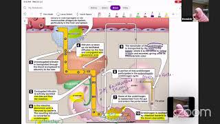 Auricles Exam Mastery Biochemistry Live Class about Hemoglobin amp Porphyria by Dr Beenish [upl. by Krispin90]