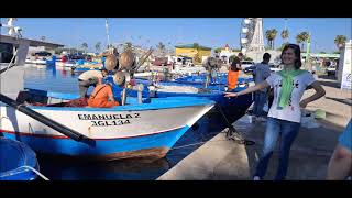 Il mestiere del pescatore a Porto Cesareo [upl. by Radmen]