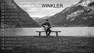 Dave Winkler  Most Viewed Acoustic Covers [upl. by Collimore]